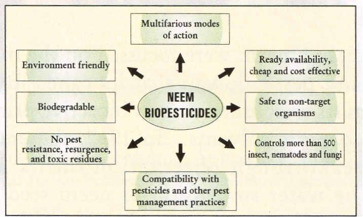 Achievements in Neem Research